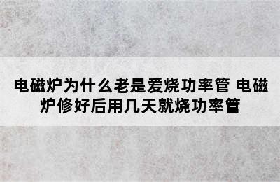 电磁炉为什么老是爱烧功率管 电磁炉修好后用几天就烧功率管